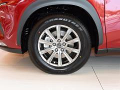 Модель 200 AWD 2020 г., Fengshang Edition, Китай VI 2020 Model 200 AWD, Fengshang Edition, China VI Фото 23 из 48