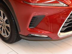 Модель 200 AWD 2020 г., Fengshang Edition, Китай VI 2020 Model 200 AWD, Fengshang Edition, China VI Фото 12 из 48