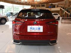 Модель 200 AWD 2020 г., Fengshang Edition, Китай VI 2020 Model 200 AWD, Fengshang Edition, China VI Фото 6 из 48