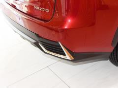 Модель 200 AWD 2020 г., Fengshang Edition, Китай VI 2020 Model 200 AWD, Fengshang Edition, China VI Фото 46 из 48