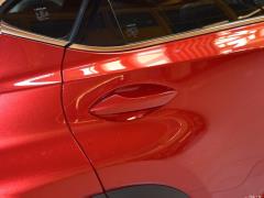 Модель 200 AWD 2020 г., Fengshang Edition, Китай VI 2020 Model 200 AWD, Fengshang Edition, China VI Фото 47 из 48