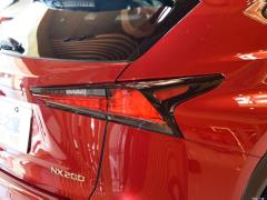 Модель 200 AWD 2020 г., Fengshang Edition, Китай VI 2020 Model 200 AWD, Fengshang Edition, China VI Фото 45 из 48