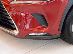 Модель 200 AWD 2020 г., Fengshang Edition, Китай VI 2020 Model 200 AWD, Fengshang Edition, China VI Фото 20 из 48