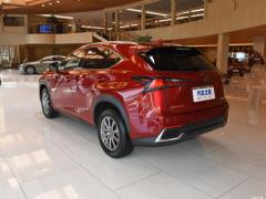 Модель 200 AWD 2020 г., Fengshang Edition, Китай VI 2020 Model 200 AWD, Fengshang Edition, China VI Фото 5 из 48