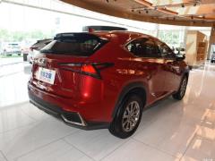 Модель 200 AWD 2020 г., Fengshang Edition, Китай VI 2020 Model 200 AWD, Fengshang Edition, China VI Фото 7 из 48