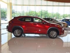 Модель 200 AWD 2020 г., Fengshang Edition, Китай VI 2020 Model 200 AWD, Fengshang Edition, China VI Фото 4 из 48