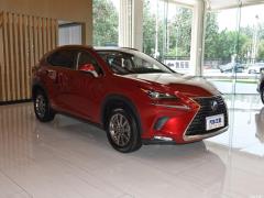 Модель 200 AWD 2020 г., Fengshang Edition, Китай VI 2020 Model 200 AWD, Fengshang Edition, China VI Фото 3 из 48