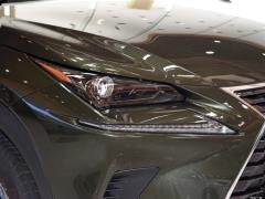 Модель 200 AWD 2020 г., Fengshang Edition, Китай VI 2020 Model 200 AWD, Fengshang Edition, China VI Фото 80 из 118