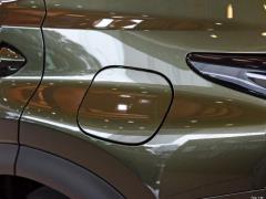 Модель 200 AWD 2020 г., Fengshang Edition, Китай VI 2020 Model 200 AWD, Fengshang Edition, China VI Фото 104 из 118