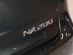 Модель 200 AWD 2020 г., Fengshang Edition, Китай VI 2020 Model 200 AWD, Fengshang Edition, China VI Фото 113 из 118