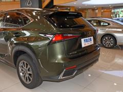 Модель 200 AWD 2020 г., Fengshang Edition, Китай VI 2020 Model 200 AWD, Fengshang Edition, China VI Фото 105 из 118