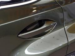 Модель 200 AWD 2020 г., Fengshang Edition, Китай VI 2020 Model 200 AWD, Fengshang Edition, China VI Фото 99 из 118