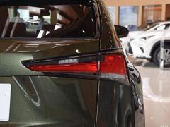 Модель 200 AWD 2020 г., Fengshang Edition, Китай VI 2020 Model 200 AWD, Fengshang Edition, China VI Фото 114 из 118