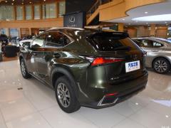 Модель 200 AWD 2020 г., Fengshang Edition, Китай VI 2020 Model 200 AWD, Fengshang Edition, China VI Фото 10 из 118