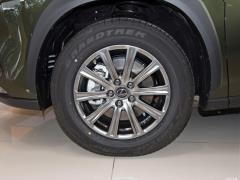 Модель 200 AWD 2020 г., Fengshang Edition, Китай VI 2020 Model 200 AWD, Fengshang Edition, China VI Фото 92 из 118