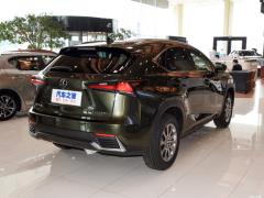 Модель 200 AWD 2020 г., Fengshang Edition, Китай VI 2020 Model 200 AWD, Fengshang Edition, China VI Фото 12 из 118