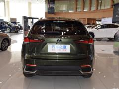Модель 200 AWD 2020 г., Fengshang Edition, Китай VI 2020 Model 200 AWD, Fengshang Edition, China VI Фото 11 из 118