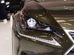 Модель 200 AWD 2020 г., Fengshang Edition, Китай VI 2020 Model 200 AWD, Fengshang Edition, China VI Фото 82 из 118