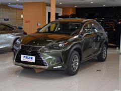 Модель 200 AWD 2020 г., Fengshang Edition, Китай VI 2020 Model 200 AWD, Fengshang Edition, China VI Фото 7 из 118