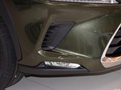 Модель 200 AWD 2020 г., Fengshang Edition, Китай VI 2020 Model 200 AWD, Fengshang Edition, China VI Фото 81 из 118