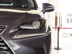 Модель 200 AWD 2020 г., Fengshang Edition, Китай VI 2020 Model 200 AWD, Fengshang Edition, China VI Фото 15 из 53