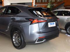 Модель 200 AWD 2020 г., Fengshang Edition, Китай VI 2020 Model 200 AWD, Fengshang Edition, China VI Фото 36 из 53