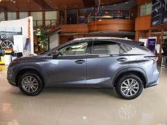 Модель 200 AWD 2020 г., Fengshang Edition, Китай VI 2020 Model 200 AWD, Fengshang Edition, China VI Фото 4 из 53