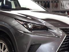 Модель 200 AWD 2020 г., Fengshang Edition, Китай VI 2020 Model 200 AWD, Fengshang Edition, China VI Фото 11 из 53