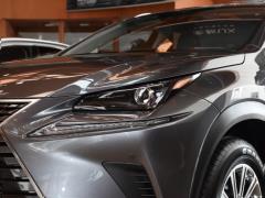 Модель 200 AWD 2020 г., Fengshang Edition, Китай VI 2020 Model 200 AWD, Fengshang Edition, China VI Фото 18 из 53