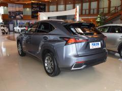 Модель 200 AWD 2020 г., Fengshang Edition, Китай VI 2020 Model 200 AWD, Fengshang Edition, China VI Фото 5 из 53