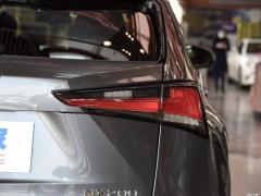 Модель 200 AWD 2020 г., Fengshang Edition, Китай VI 2020 Model 200 AWD, Fengshang Edition, China VI Фото 44 из 53
