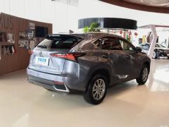 Модель 200 AWD 2020 г., Fengshang Edition, Китай VI 2020 Model 200 AWD, Fengshang Edition, China VI Фото 7 из 53