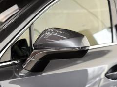 Модель 200 AWD 2020 г., Fengshang Edition, Китай VI 2020 Model 200 AWD, Fengshang Edition, China VI Фото 25 из 53