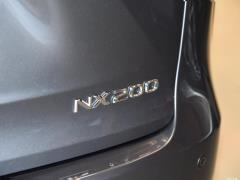 Модель 200 AWD 2020 г., Fengshang Edition, Китай VI 2020 Model 200 AWD, Fengshang Edition, China VI Фото 43 из 53