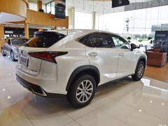 Модель 200 Front Drive Front Travel Edition National VI 2020 года 2020 Model 200 Front Drive Front Travel Edition National VI Фото 6 из 130
