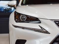 Модель 200 Front Drive Front Travel Edition National VI 2020 года 2020 Model 200 Front Drive Front Travel Edition National VI Фото 24 из 130