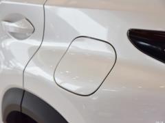 Модель 200 Front Drive Front Travel Edition National VI 2020 года 2020 Model 200 Front Drive Front Travel Edition National VI Фото 52 из 130