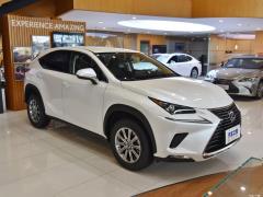 Модель 200 Front Drive Front Travel Edition National VI 2020 года 2020 Model 200 Front Drive Front Travel Edition National VI Фото 3 из 130