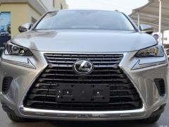 Модель 200 AWD 2020 г., Fengshang Edition, Китай VI 2020 Model 200 AWD, Fengshang Edition, China VI Фото 188 из 271