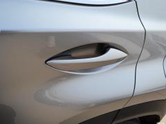 Модель 200 AWD 2020 г., Fengshang Edition, Китай VI 2020 Model 200 AWD, Fengshang Edition, China VI Фото 198 из 271