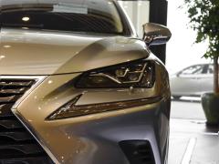 2020 300h полноприводный Fengzhi Edition China VI 2020 300h all-wheel drive Fengzhi Edition China VI Фото 230 из 271
