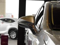 2020 300h полноприводный Fengzhi Edition China VI 2020 300h all-wheel drive Fengzhi Edition China VI Фото 224 из 271