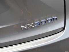 2020 300h полноприводный F SPORT кантри VI 2020 300h all-wheel drive F SPORT country VI Фото 95 из 271