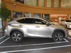 2020 300h полноприводный Fengzhi Edition China VI 2020 300h all-wheel drive Fengzhi Edition China VI Фото 26 из 271
