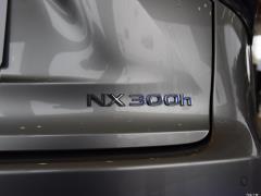 2020 300h полноприводный Fengzhi Edition China VI 2020 300h all-wheel drive Fengzhi Edition China VI Фото 258 из 271
