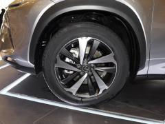2020 300h полноприводный Fengzhi Edition China VI 2020 300h all-wheel drive Fengzhi Edition China VI Фото 236 из 271