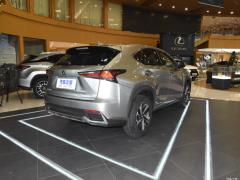 2020 300h полноприводный Fengzhi Edition China VI 2020 300h all-wheel drive Fengzhi Edition China VI Фото 29 из 271
