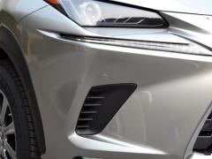 Модель 200 AWD 2020 г., Fengshang Edition, Китай VI 2020 Model 200 AWD, Fengshang Edition, China VI Фото 189 из 271