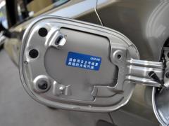 Модель 200 AWD 2020 г., Fengshang Edition, Китай VI 2020 Model 200 AWD, Fengshang Edition, China VI Фото 202 из 271
