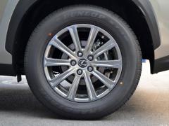 Модель 200 AWD 2020 г., Fengshang Edition, Китай VI 2020 Model 200 AWD, Fengshang Edition, China VI Фото 199 из 271